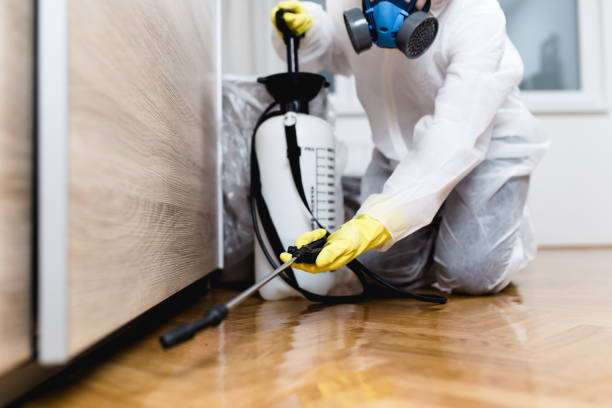 Best Flea Control Services  in Naples Park, FL