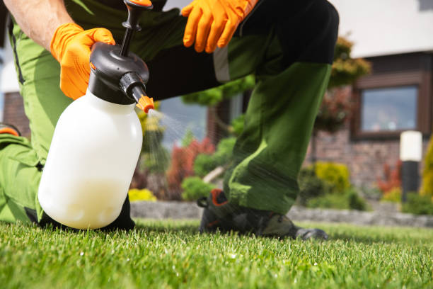Best Cockroach Control Services  in Naples Park, FL
