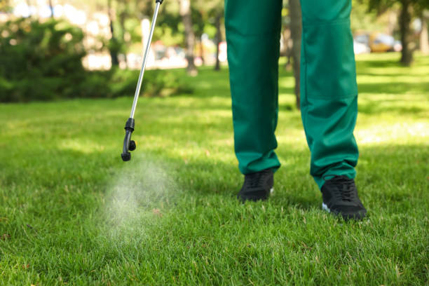 Best Pest Removal Services  in Naples Park, FL