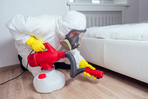 Reliable Naples Park, FL Pest Control Solutions