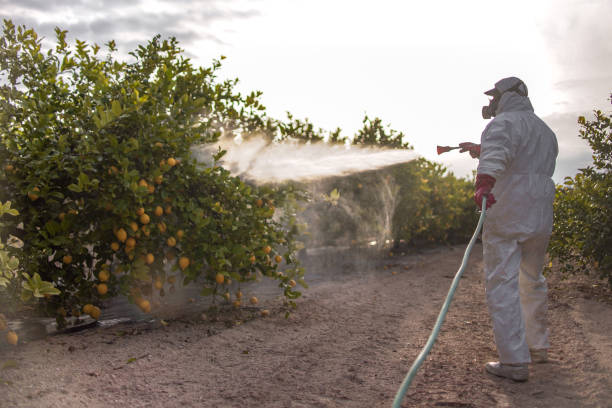 Best Rat Extermination Near Me  in Naples Park, FL
