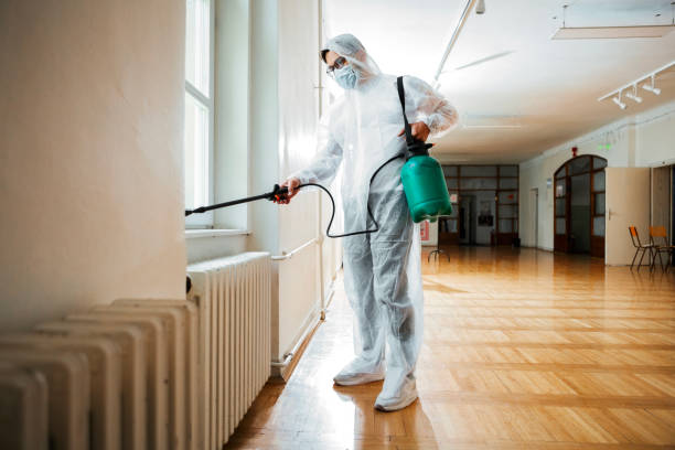 Best Termite Control Services  in Naples Park, FL