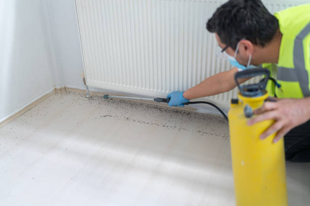 Best Wasp Removal Services  in Naples Park, FL
